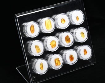 本物の化石琥珀（昆虫入り） - 天然化石琥珀昆虫5個セット - 白亜紀
