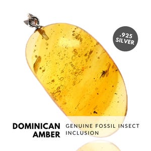 GNAT - Natural Dominican Amber Pendant with Fossil Inclusion - Sterling Silver