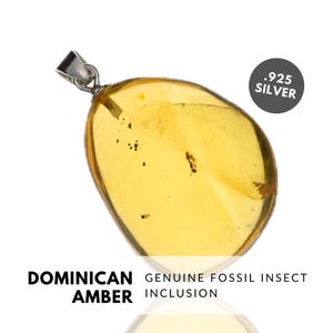 ANT - Natural Dominican Amber Pendant with Fossil Inclusion, Sterling Silver