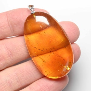Dominican Amber Pendant with Fossil Insect Inclusions - Sterling Silver .925