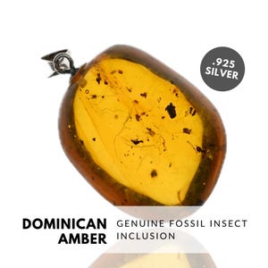 ANT - Natural Dominican Amber Pendant with Fossil Inclusion, Sterling Silver