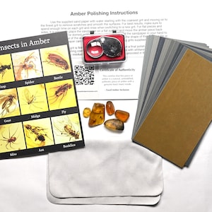 May include: A kit for polishing amber, featuring a variety of grits, a magnifying glass, and a polishing cloth. Includes a card with images of insects in amber, such as wasps, spiders, and beetles. Also includes a certificate of authenticity.
