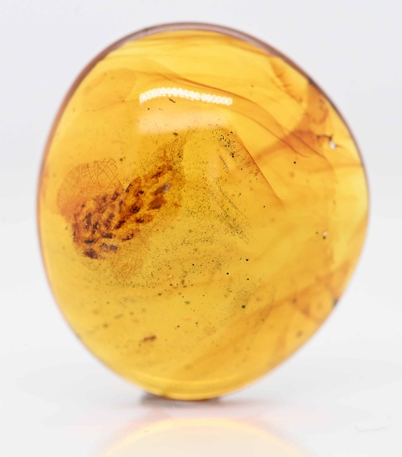 SUPER RARE Spider Egg Sac, Fossil Inclusion in Burmese Amber image 2