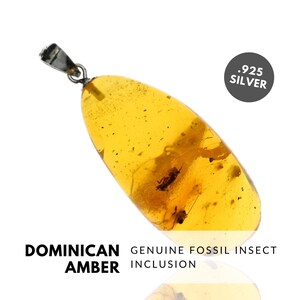TERMITE - Natural Dominican Amber Pendant with Fossil Inclusion, Sterling Silver