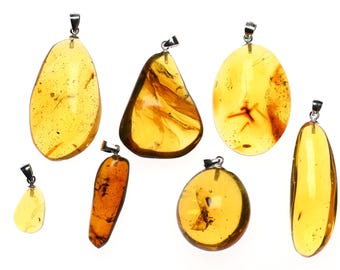 Natural Dominican Amber Pendant with Fossil Insect Inclusion - Sterling Silver Boho Pendant - Entomology, Gift, Jewelry