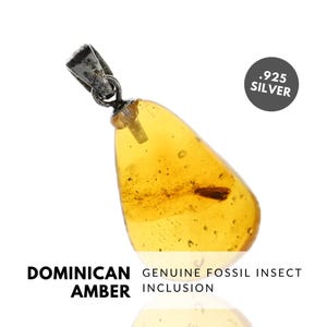 CADDISFLY - Natural Dominican Amber Pendant, Fossil Inclusion, Sterling Silver