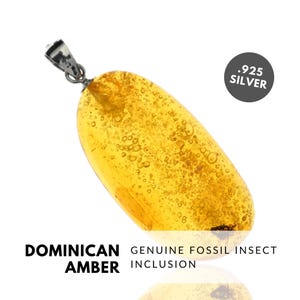 PLANTHOPPER - Natural Dominican Amber Pendant, Fossil Inclusion, Sterling Silver