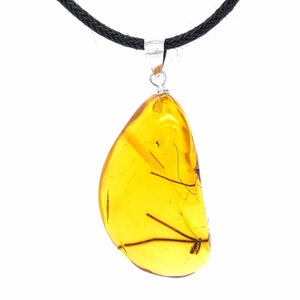 Dominican Amber Pendant with Fossil Botanical Inclusions - Sterling Silver .925