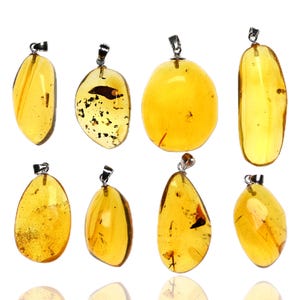 Large Natural Dominican Amber Pendant with Fossil Insect Inclusion - Sterling Silver Boho Pendant