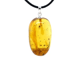 Dominican Amber Pendant with Ant and Fly  Inclusions - Sterling Silver .925