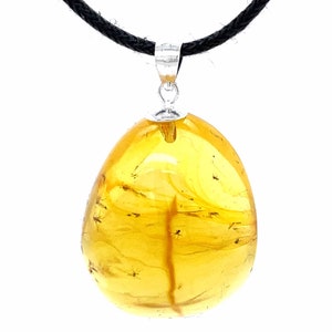 Dominican Amber Pendant with Swarm of insects - Sterling Silver .925