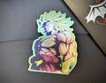 DBZ Legendary SSJ Broly Vinyl Sticker Metallic Decal Goku Vintage 90's Vegeta Gohan Super Saiyan Trunks Manga Piccolo Frieza Anime