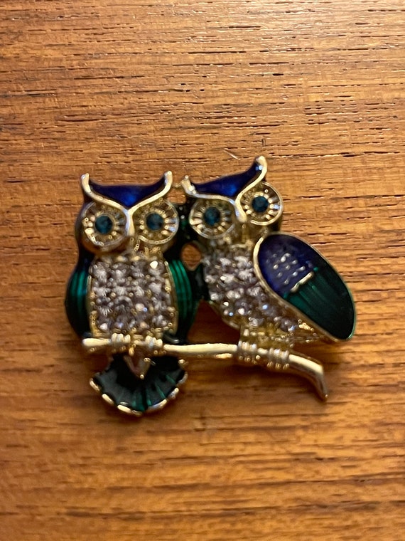 Vintage Owl Lovebirds in blue and green with clear