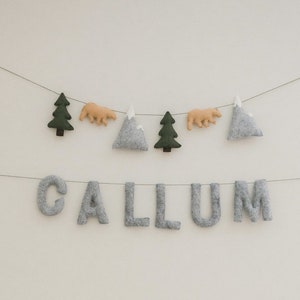 Name Garland, Custom Felt Lettering, Nursery Decor, Felt Name Garland image 3