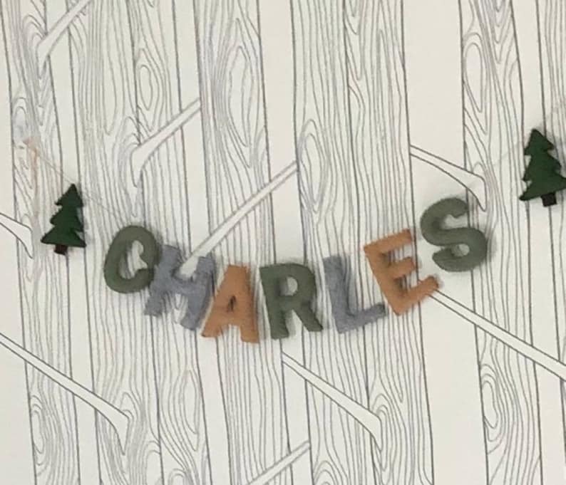 Name Garland, Custom Felt Lettering, Nursery Decor, Felt Name Garland image 6