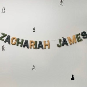 Name Garland, Custom Felt Lettering, Nursery Decor, Felt Name Garland image 7