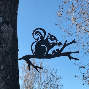 Branch Art Squirrel, 10 gauge corten weathering steel, lifesize metal squirrel, outside yard art, perfect gift for squirrel lover