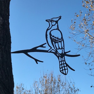 Branch Art Bluejay, 10 gauge corten weathering steel, lifesize metal bird, outside yard art, perfect gift for bird lover