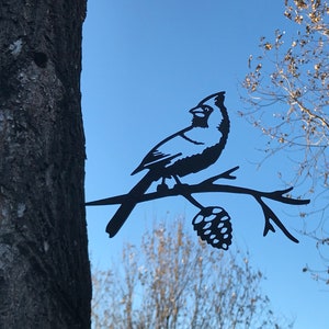 May include: Black metal silhouette of a cardinal perched on a branch with a pine cone. The silhouette is attached to a tree trunk.
