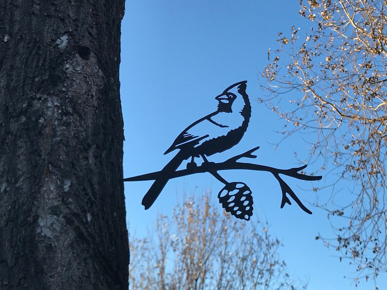 May include: Black metal silhouette of a cardinal perched on a branch with a pine cone. The silhouette is attached to a tree trunk.