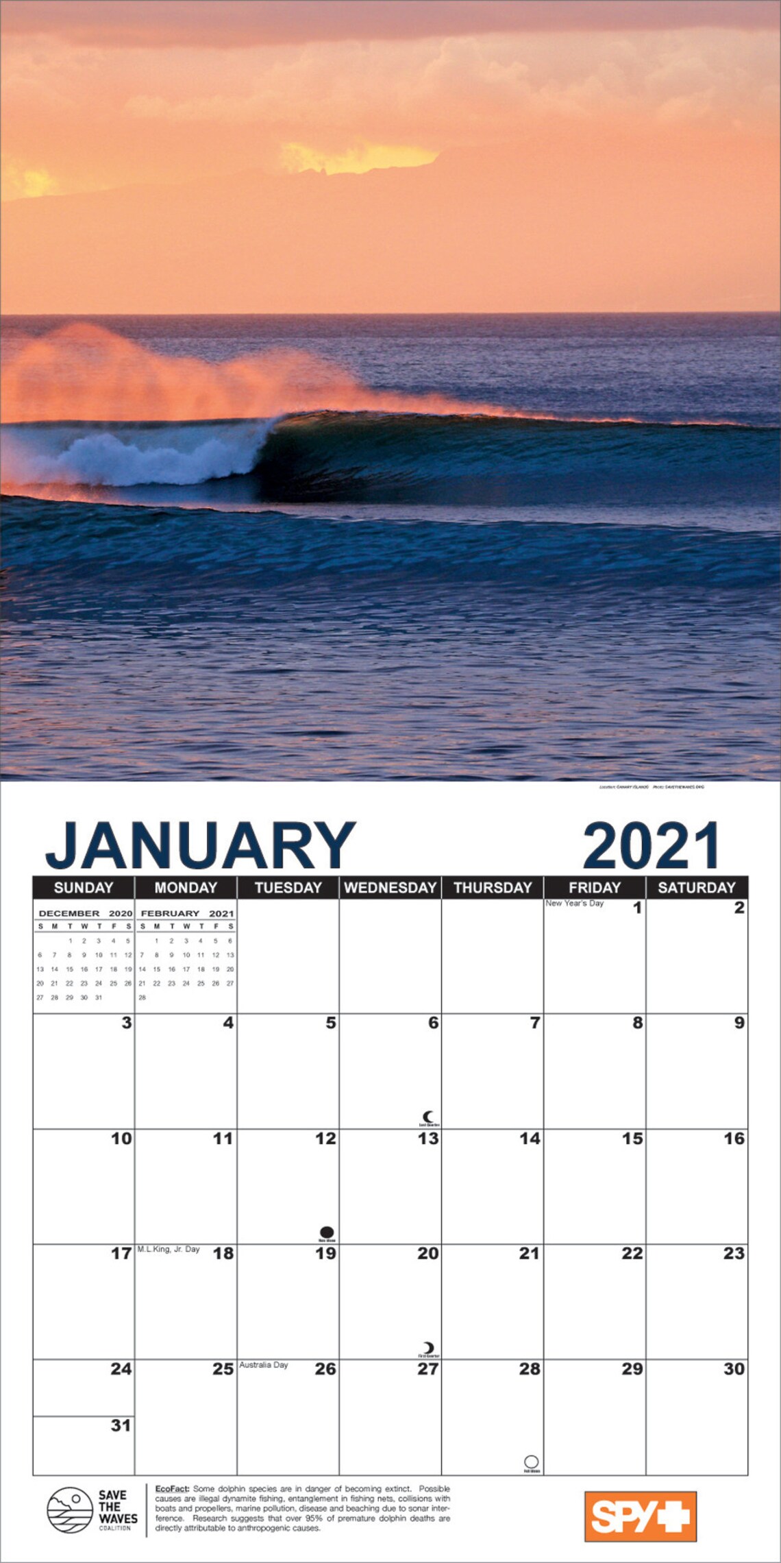 2021 GLOBAL SURF CALENDAR benefitting Save the Waves Coalition | Etsy