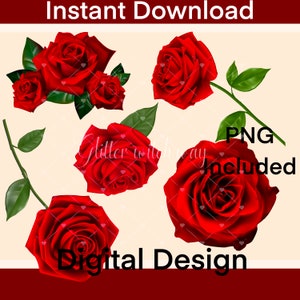 Rose png flowers sublimation bundle