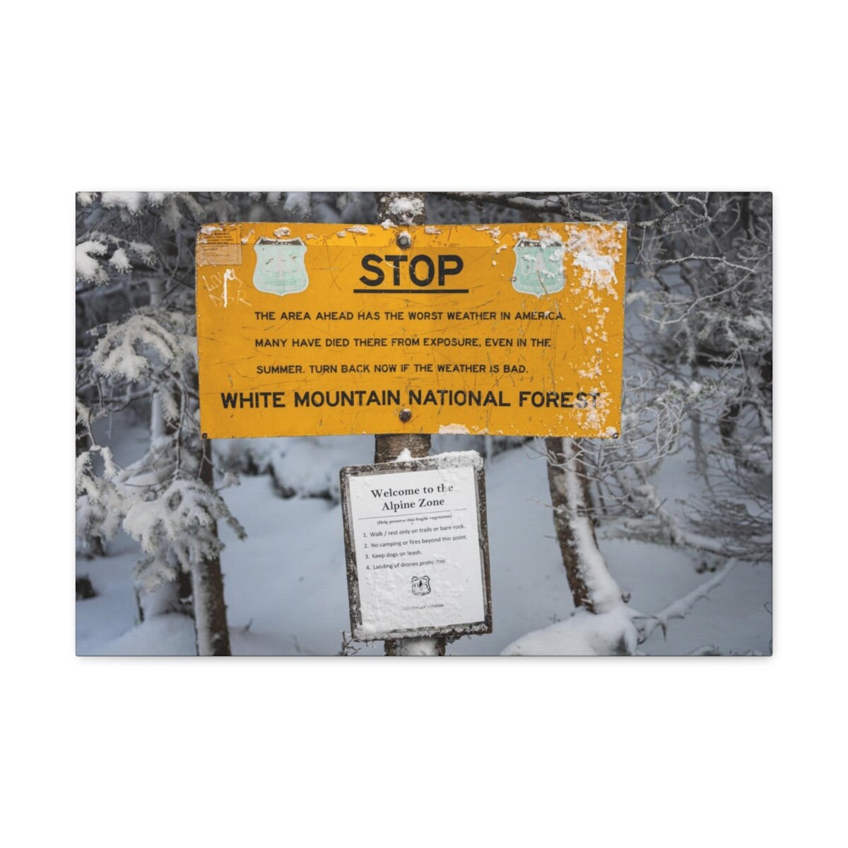 Presidential Range Alpine Zone Trail Sign Canvas Print NH 48 4000 ...