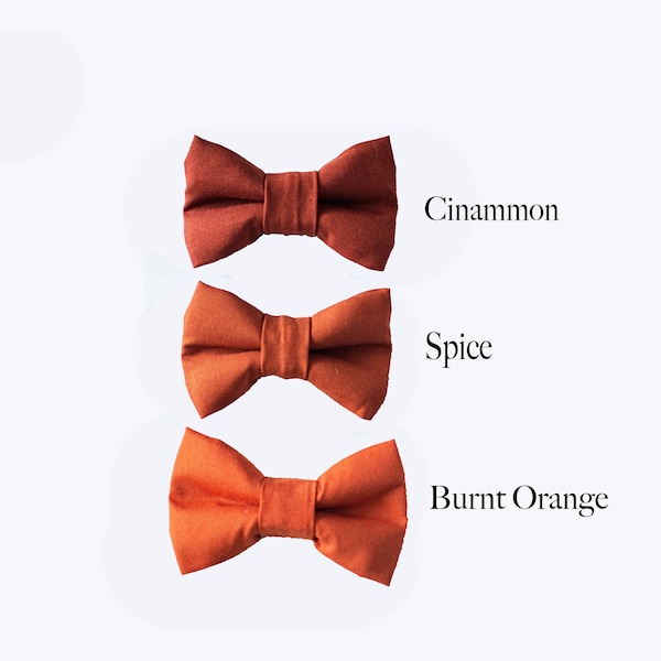 Terracotta Burnt Orange/Cinnamon/Spice Bow Tie for Kids-Men, Groomsmen, Boys Birthday, Ring Bearer/Page Boy, Rustic Wedding Outfit, Gift