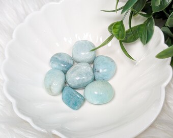 Amazonite Tumble | Crystal | Gemstone | Healing | Metaphysical | Spiritual | Witchcraft | Genuine