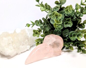 Rose Quartz Raven Skull Carving | Crystal | Gemstone | Healing | Metaphysical | Spiritual | Witchcraft | Genuine