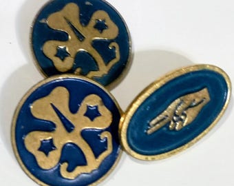 Pins, girl scout pins and the promise pin