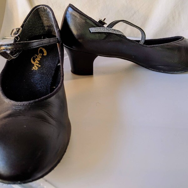 Dancing Shoes, Tango Dance Shoes, Flamingo Dancing Shoes,  Dancer Shoes, Shoes For Dancing.