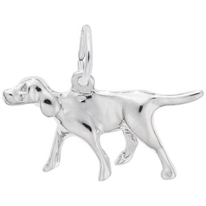 May include: Silver charm of a dog in a walking position. The charm is detailed and has a loop for attaching to a bracelet or necklace.