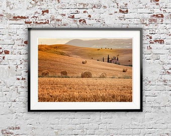 Immagine delle Crete Senesi, Toscana, Italia. Dorati campi di grano. Fotografia Fine Art