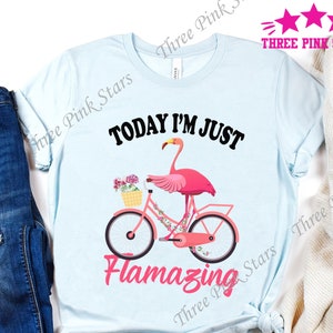 Flamingo Shirt for Women, Today I'm Just Flamazing T-Shirt, Gift for Flamingo Lover, Pink Flamingo Tee Shirt, Flamingo Gift for Women E3132