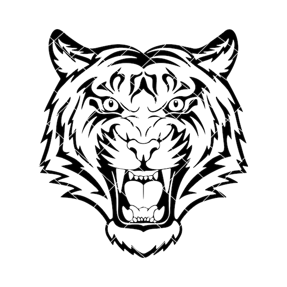 angry tiger face images