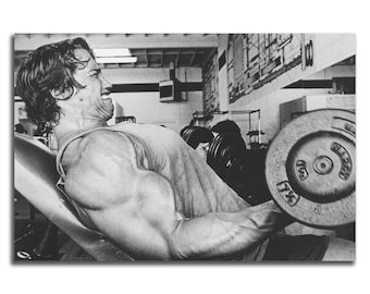 Y1517 Art Wall Poster Arnold Schwarzenegger Bodybuilding Muscle Star
