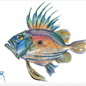 John Dory acrylic painting (print)