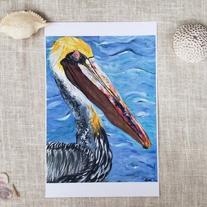 Atlantic Pelican (Print)