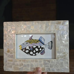 Cow triggerfish, original watercolor pencil painting