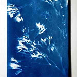May include: A framed cyanotype print featuring white floral patterns against a dark blue background.
