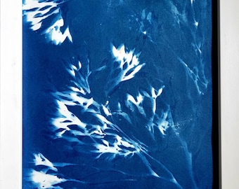 Cianotipo original de algas: 'Movimiento'