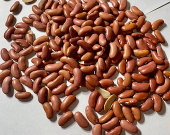 RED KIDNEY Beans organic seeds non-GMO for planting and grow Buy more - Save more