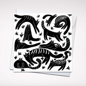 Carte de voeux lunatique chats grecs 5 x 5 - Carte vierge ludique sur le thème des chats noir et blanc avec enveloppe