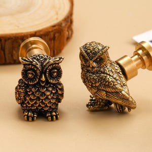 May include: Two antique brass owl-shaped cabinet knobs. The knobs feature detailed carvings of owls with large eyes and textured feathers. The knobs are mounted on a brass base and are suitable for furniture or decorative projects.