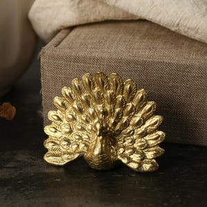 Brass peacock cabinet knob, Modern animal drawer pulls Knobs, Custom engrave Bar Leather minimalist kid room Handles, Furniture hardware