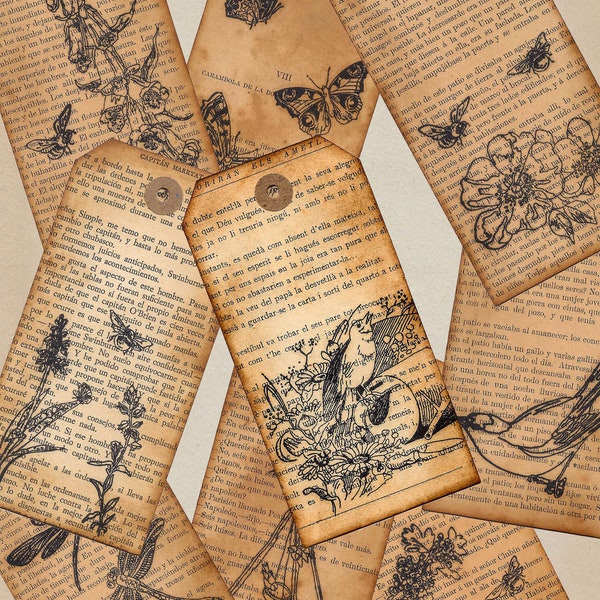 Edith Holden Printables - Etsy