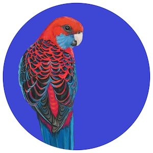 Crimson Rosella Gift Card