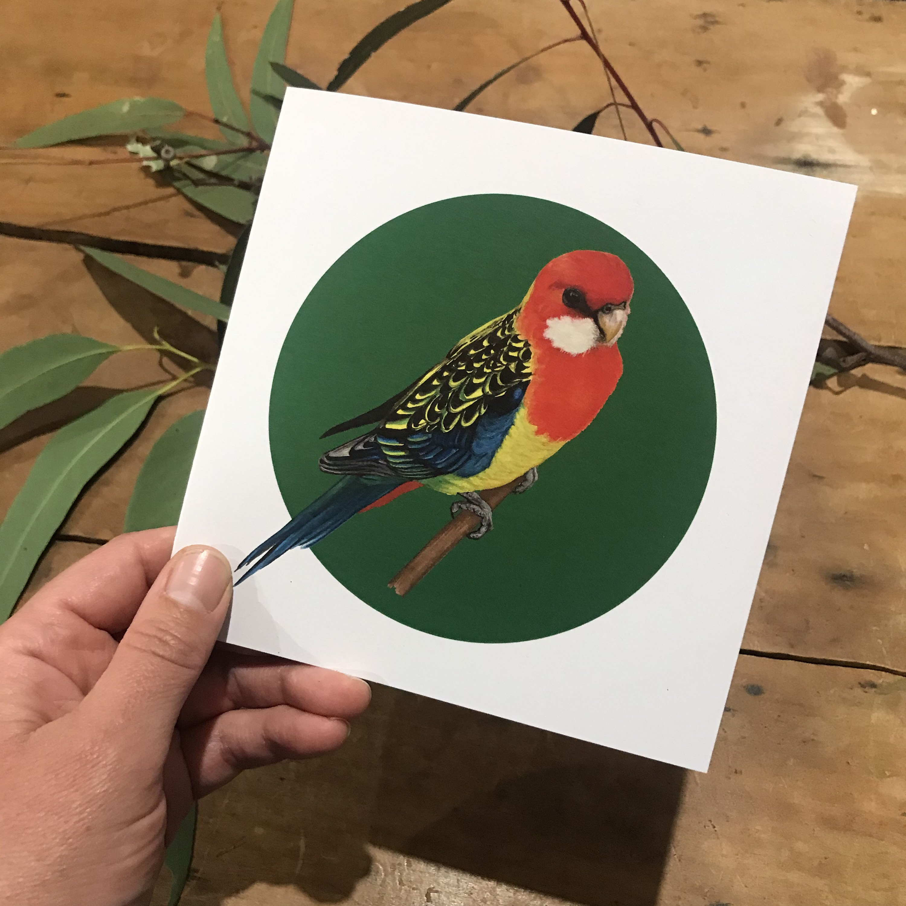 Eastern Rosella Gift Card - Etsy Israel