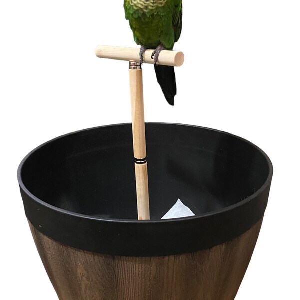Bird Perch With Poop Catcher Etsy